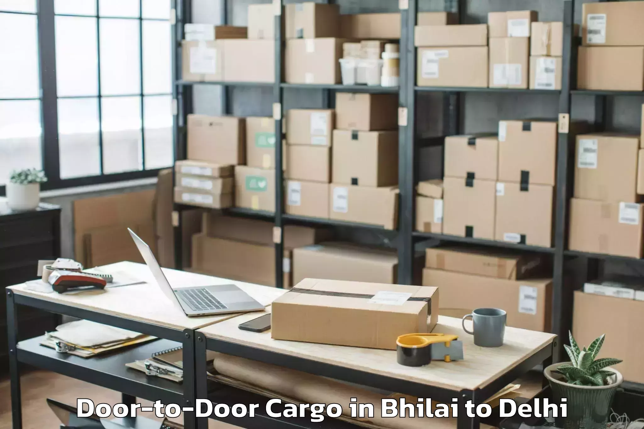 Professional Bhilai to D Mall Rohini Door To Door Cargo